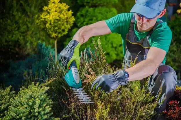 landscaping services Edmundson